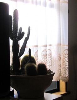 �������O�ւȂ炦