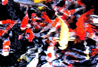 �Ђ˂��A��