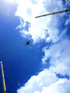 �uDie?�v�uNo.(���\��)�v�uOh...ok.�v