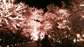 �����̐���