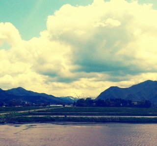 ���n���������