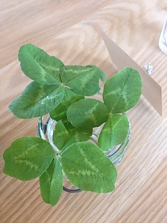 �l�͂����Ɨ��ɏo��