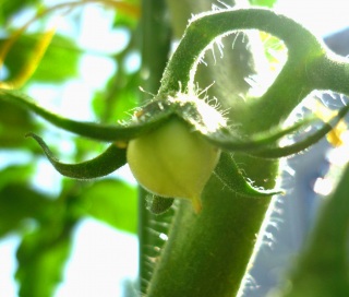 �Ԃ�����