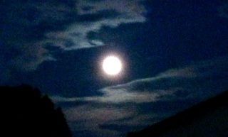 ����2�l��