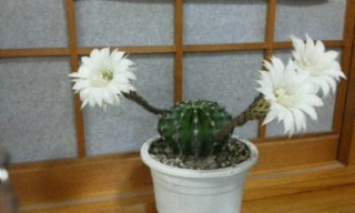 Fw:�����炢��