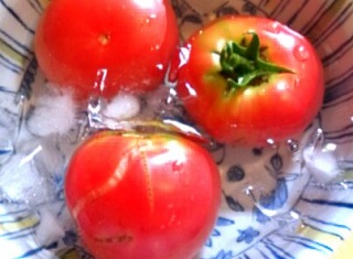 �L���V�ʎ�