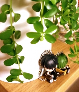 ������������������