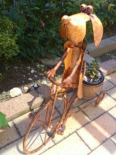 ���i����