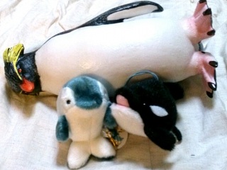 �����΂��