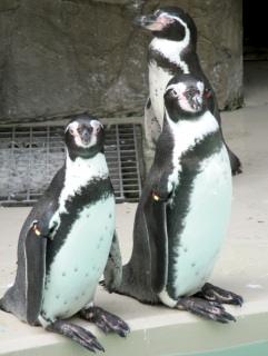 �y��1�y���Q