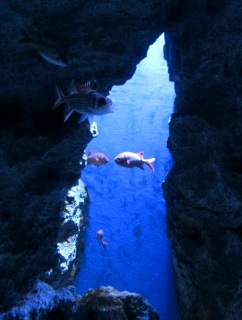 ���u�^�C��