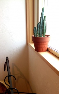 �����ăA���G���[�i