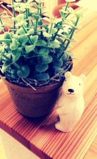 �{�T�m���@�𕷂��Ă���