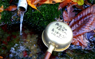 �߂��`�`��