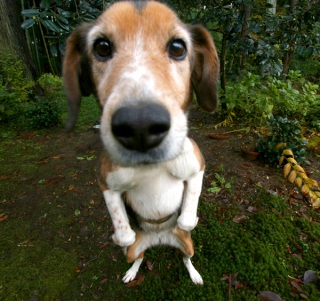 �ӊO�Ƃ����