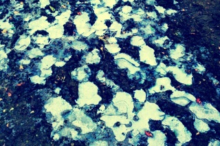 ����������