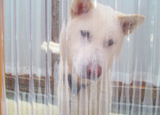 �ƂĂ����a��