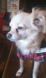 �����`�^�C���̔ߌ�