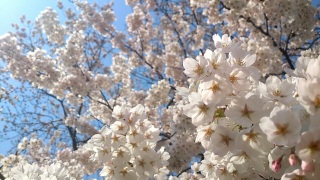 �����o�����I