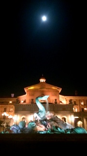 �~���R�X�^