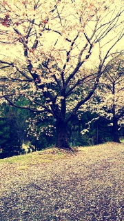 �G���h���P���[