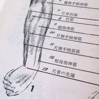 ���Ⴍ����������c