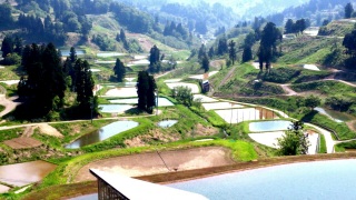 ���Ȃ����I