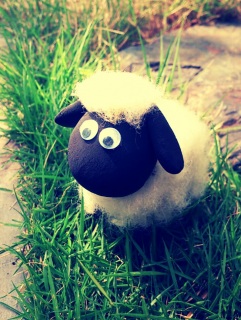 �����̗͍��