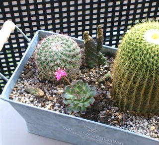 ���U�肾����