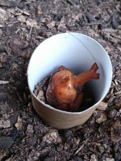 �t���C���O�ċx�݉ۑ�