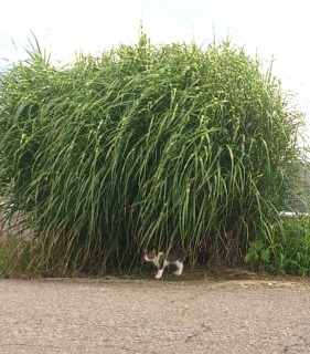 �[��������c�I