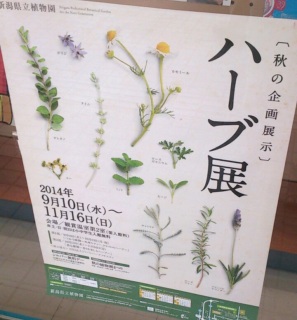 ���x�̋x�݂�