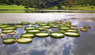 �I�I�I�j�o�X