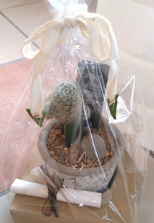 ��y����I