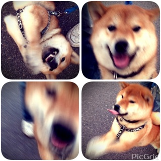 �����̖k�l2��