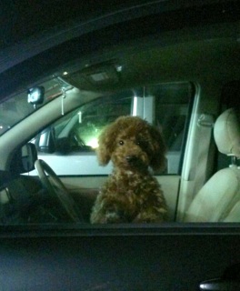 �E�����Γz������