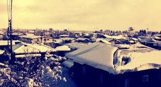 ���ɐ��܂�