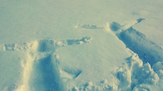 �~�̂����ɂ���