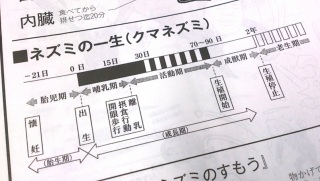 �͂����猩����