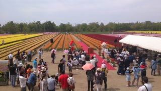 �`���[���b�v