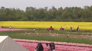 2�l���^�ԃI�[�v���J�[��