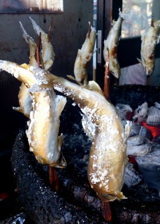 �{���̂��y�Y�͂�����