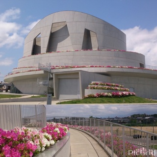 �����I�c�c�W��L