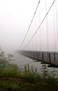 �c�c�W�݂苴�̎���