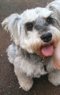 �D    ��    ��