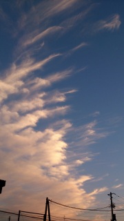 ����Ȃ�5��