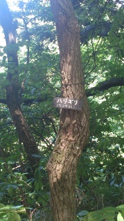 ����؂���