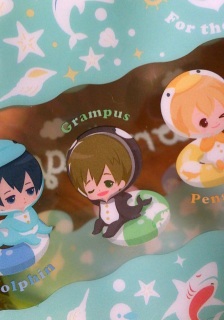 �O�����p�X����