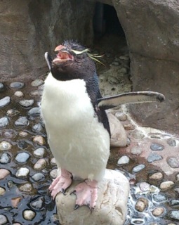 �C���g�r����