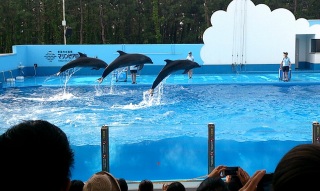 �C���J�V���[